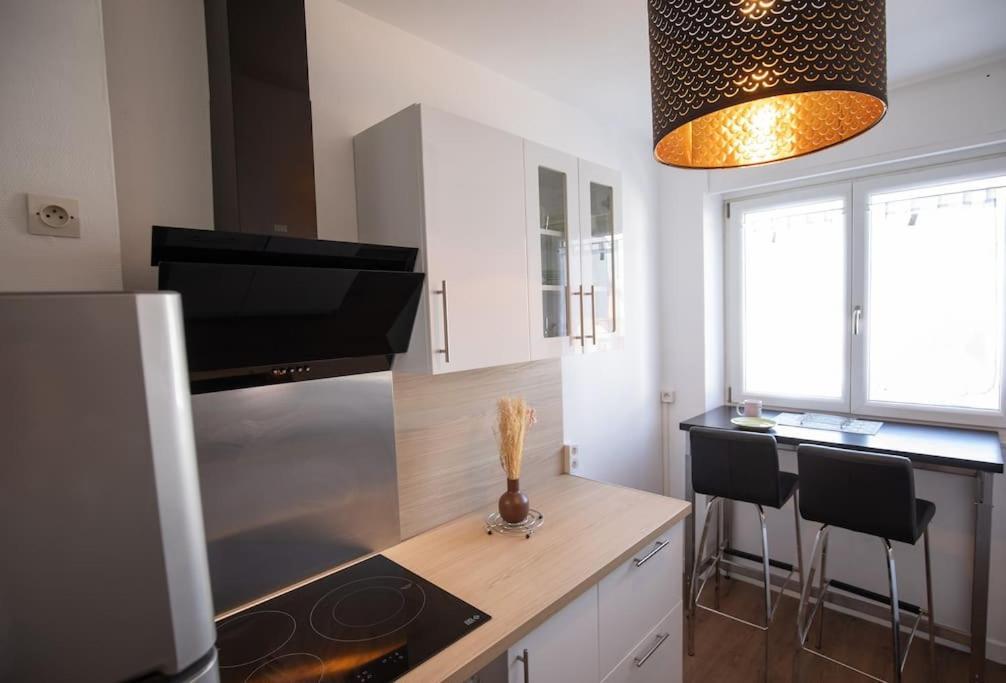 New Appartement Proche Gare Et Centre-Ville Colmar Exteriér fotografie
